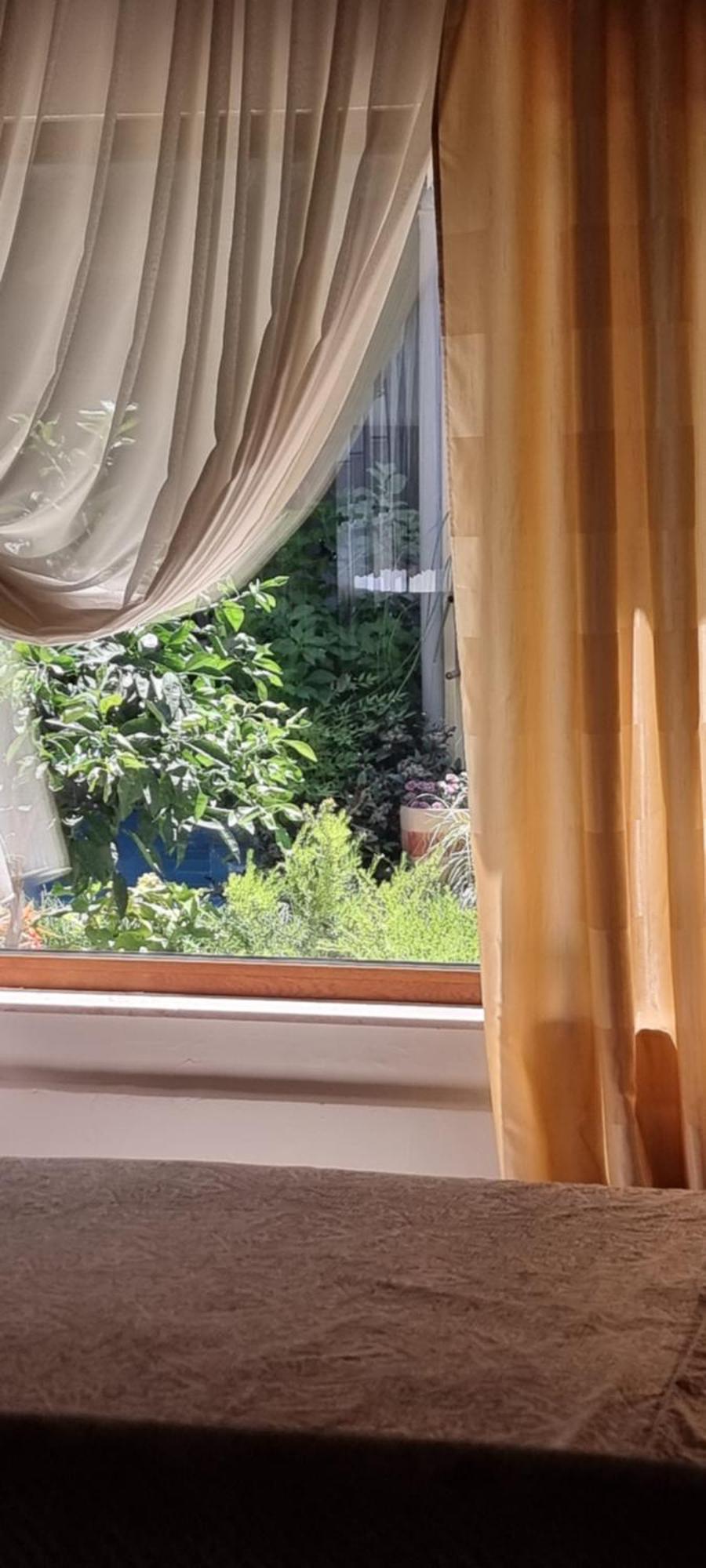 Garden Guest house